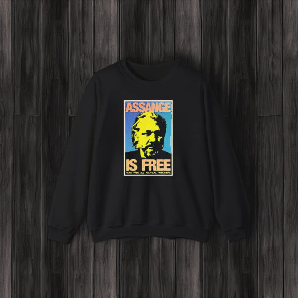 Assange Is Free Now Free All Political Prisoners T-Shirt