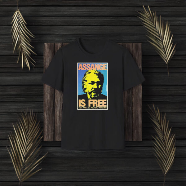 Assange Is Free Now Free All Political Prisoners T-Shirt3