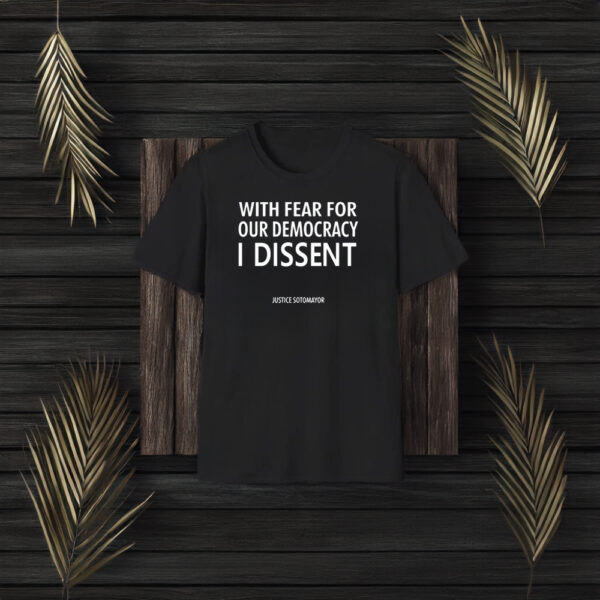 Leilani Munter With Fear For Our Democracy I Dissent T-Shirt3